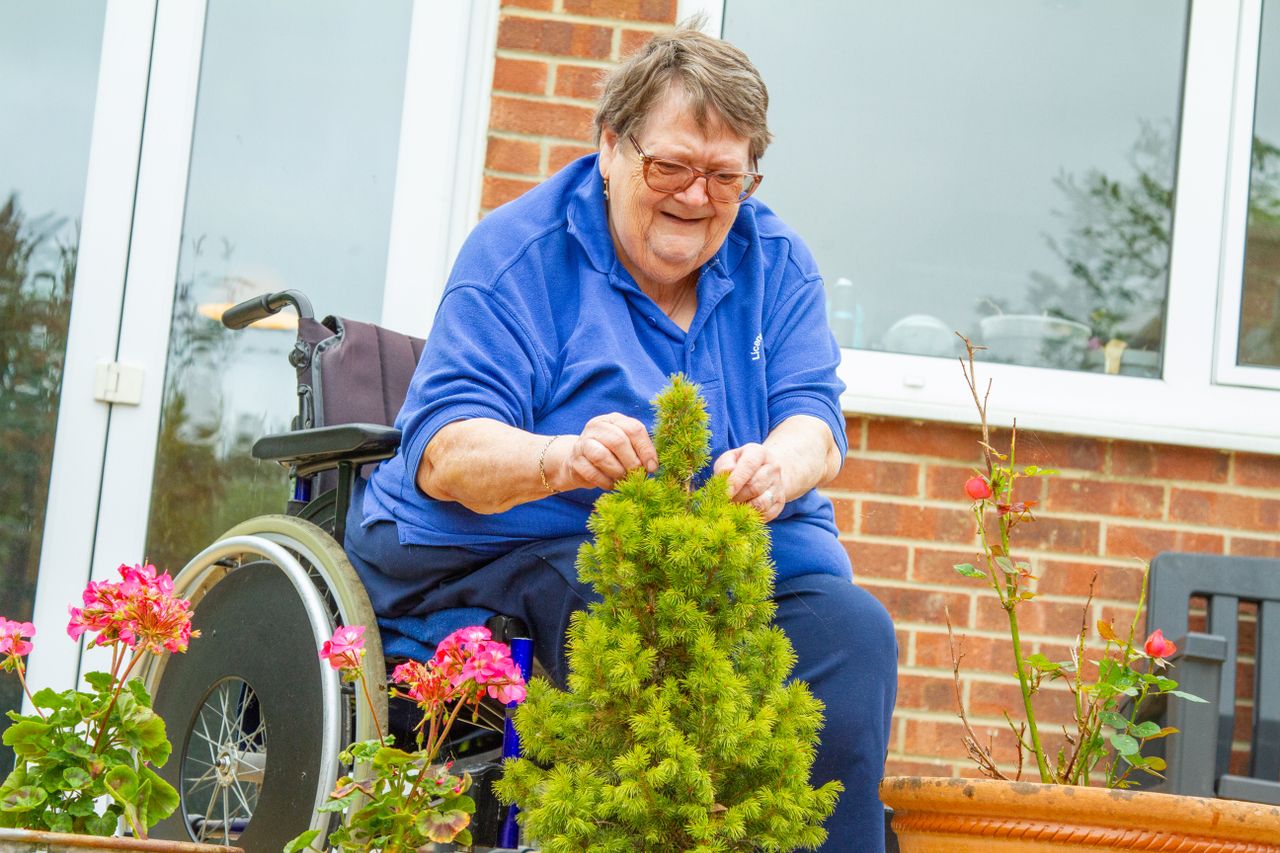 About Senior woman in a wheelchair enjoys gardening in her backyard, tending to plants and flowers.
